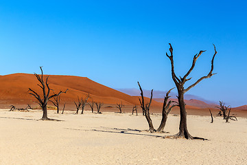 Image showing Hidden Vlei in Namib desert 