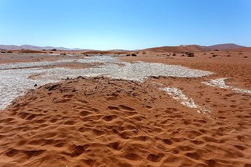 Image showing Hidden Vlei in Namib desert 