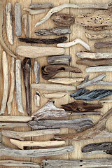 Image showing Driftwood  