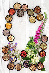 Image showing Naturopathic Medicine