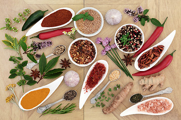 Image showing Healthy Herb and Spice Collection