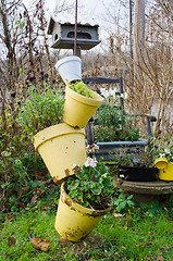 Image showing one arrangement with garden pots and flowers