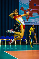 Image showing Male competitions in volleyball