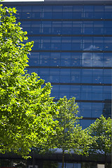 Image showing Office and Tree