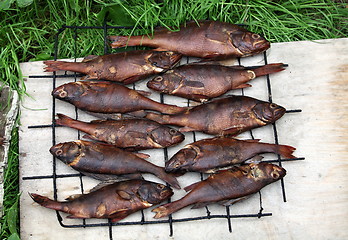 Image showing hot smoked fish