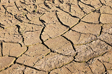 Image showing cracked earth field  