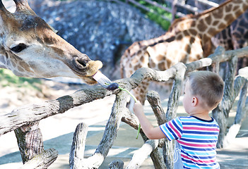 Image showing in the Zoo