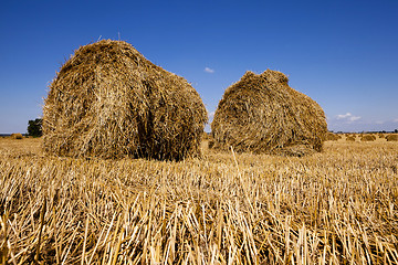 Image showing stack of straw in the field 