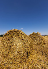 Image showing haystacks straw  . summer
