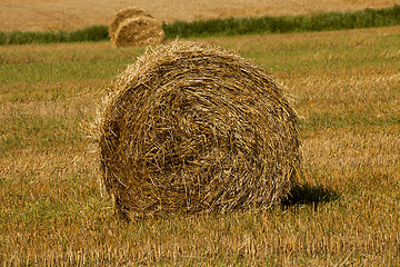 Image showing hay bale close-up  