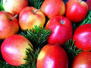 Image showing christmas apples