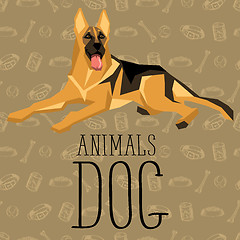 Image showing Vector Dogs Collection