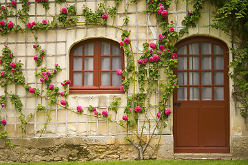 Image showing Flower House