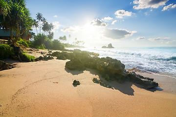 Image showing Stones on tropical beach