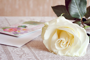 Image showing White rose and a letter of congratulation.