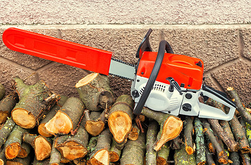 Image showing Chainsaw and cut tree branches.