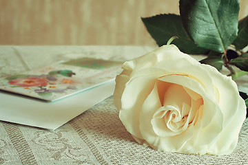 Image showing White rose and a letter of congratulation.