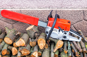 Image showing Chainsaw and cut tree branches.