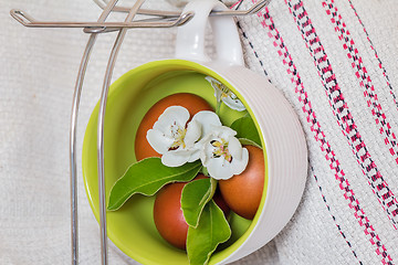 Image showing Easter eggs and Apple blossoms.