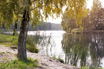 Image showing Landscape with the image of the river and the surrounding nature