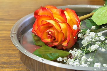 Image showing Beautiful rose on the surface of the vessel with water.