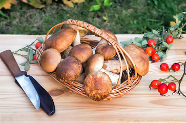 Image showing White strong mushrooms in a basket on the table surface