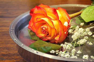 Image showing Beautiful rose on the surface of the vessel with water.