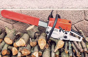 Image showing Chainsaw and cut tree branches.