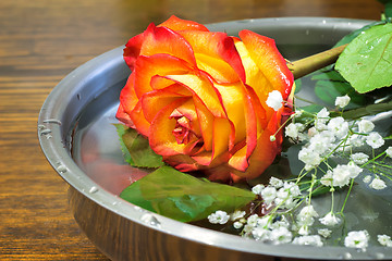 Image showing Beautiful rose on the surface of the vessel with water.