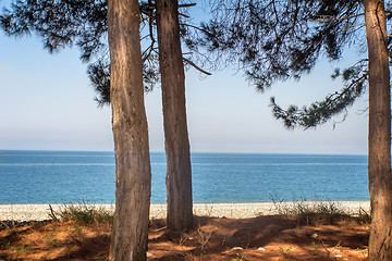 Image showing Landscape with sea views. Pitsunda, Abkhazia.