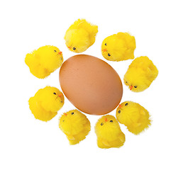 Image showing Easter chicks surrounding a large egg