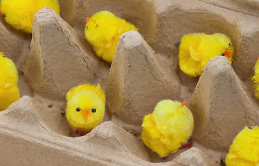 Image showing Easter chicks in an eggbox