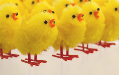 Image showing Abundance of easter chicks, selective focus