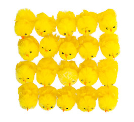 Image showing Abundance of easter chicks, top view