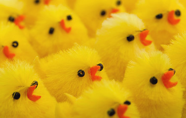 Image showing Abundance of easter chicks, selective focus