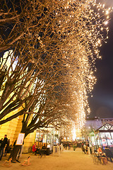 Image showing Illuminated trees in Zagreb