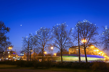 Image showing Illuminated trees in city