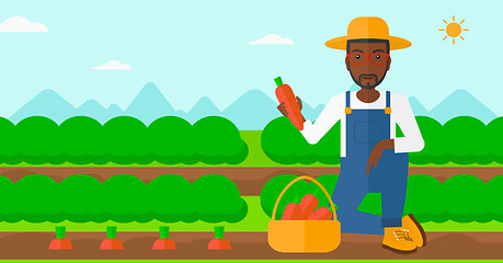 Image showing Farmer collecting carrots.