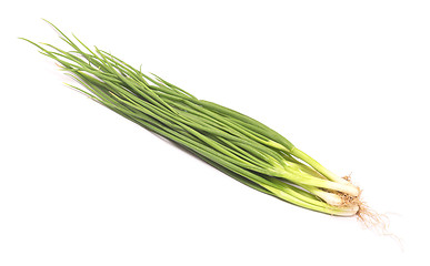 Image showing fresh green onion