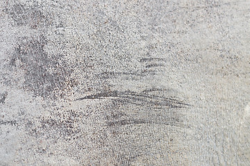 Image showing rhino skin texture