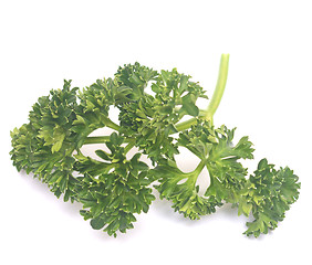 Image showing fresh green parsley