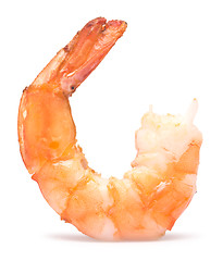 Image showing grilled shrimp on white