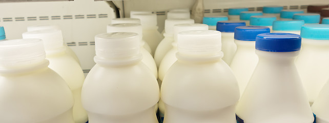 Image showing milk bottles on shelf