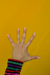 Image showing Beautifull nails