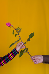 Image showing Giving a rose