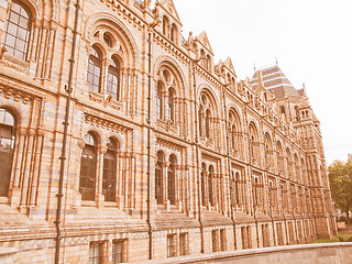 Image showing Natural History Museum, London, UK vintage