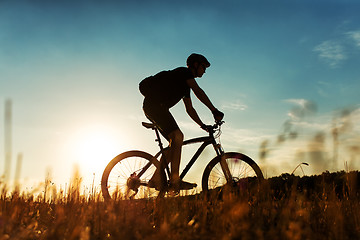 Image showing Rider on Mountain Bicycle it the field