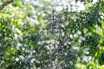 Image showing rain drop background