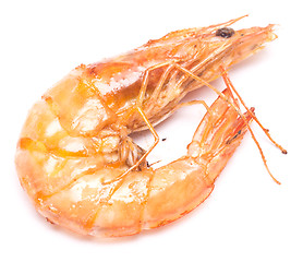 Image showing king grilled shrimp