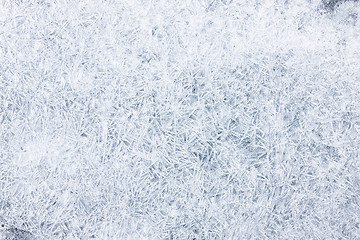 Image showing Frozen texture